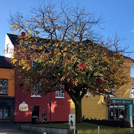 Town Center Duplex With Lift Apartment Clonakilty