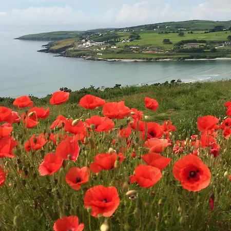 Town Center Duplex With Lift Apartament