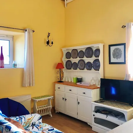 Town Center Duplex With Lift Apartmán Clonakilty