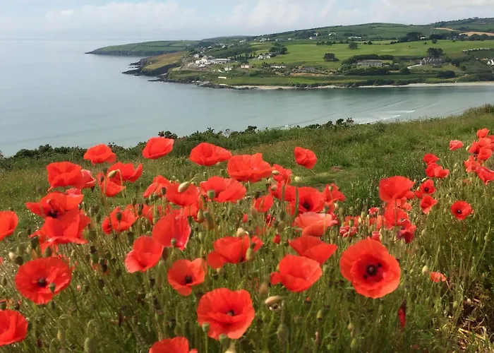 Town Center Duplex With Lift Appartamento